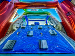 47845483 2767 49C0 86D6 43A376F7B106 1690556203 Forest Themed Bounce House/Slide Combo